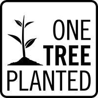 Tree to be Planted - Monika Pavlickova